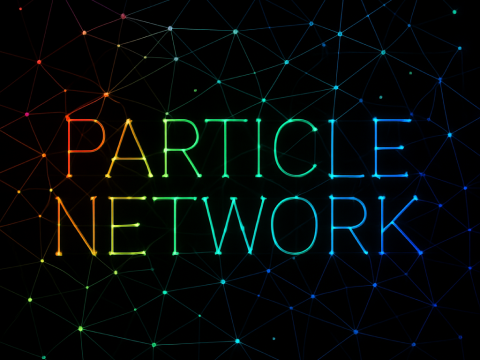 Particle Network