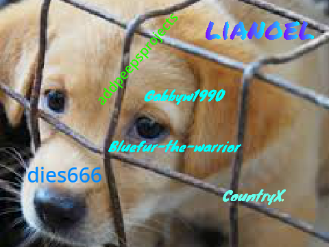 Help stop puppy farms! Sign now!