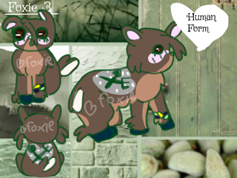 My official ref!!!!!