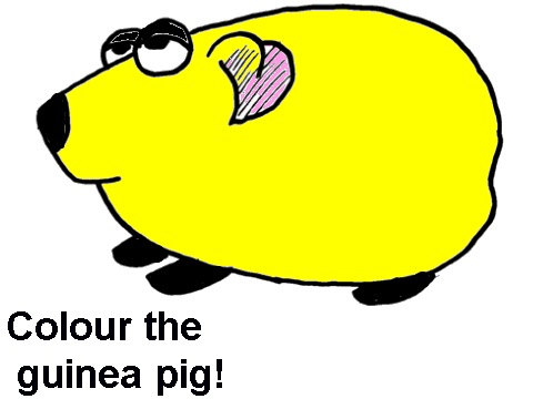 Guinea Pig~ Colouring Contest 1# entry