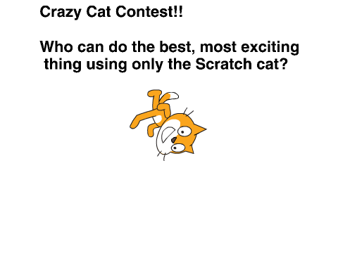 Scratch Cat Contest!!