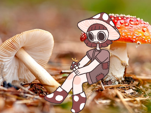 moshrooms