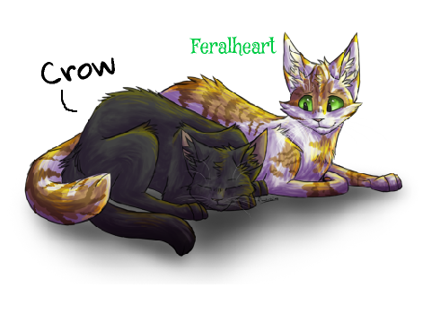 Skyclan and Moonclan signup - remix
