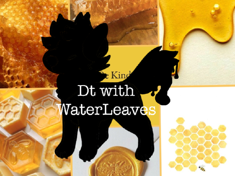 DT with WaterLeaves