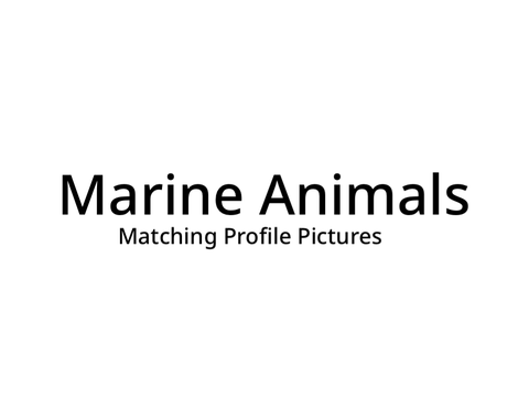 Marine Animals - Matching Profile Pictures