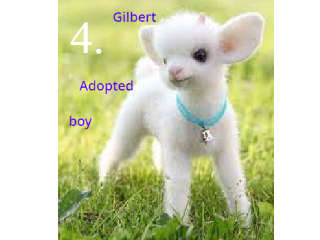 adopt a animal   {close} There are no more to adopt
