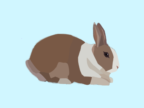 Rabbit blockshade