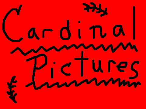 Cardinal Pictures!