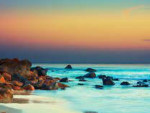 Mindfulness 