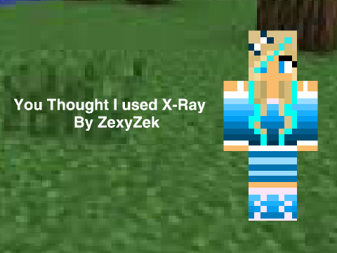 You Thought I Used X-Ray - ZexyZek