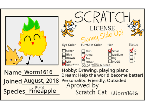Worm1616's Scratch License!