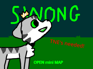 Swong || finished