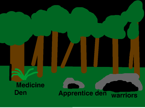 Timberclan set out 1