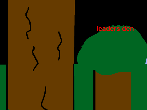timberclan set out 2