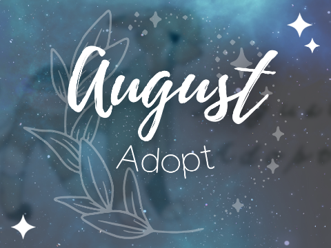 ✧ August OTA (Pending)