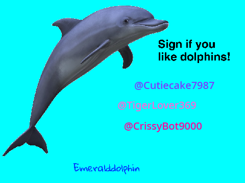 sign if you like dolphins remix remix remix