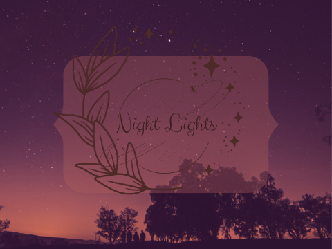✧乀Night Lights✧乀 Prologue