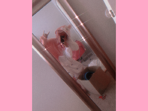 monomi