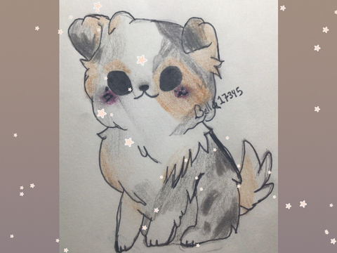 Jennifer dog!