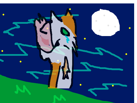 Warriors Into Part 5