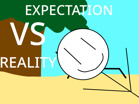 Expectation vs Reality ll Entry for @hats_hats contest ll #animations #all