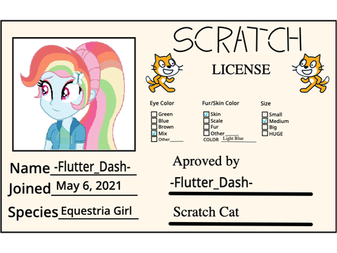 My Scratch License