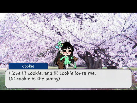 My love for cookies!