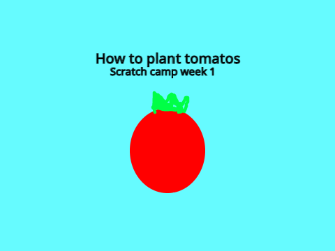 How to plant tomatoes