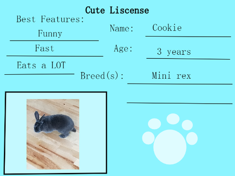 Cute License Remix