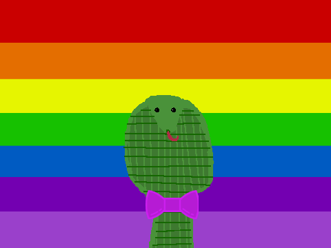 I dont even know what this is