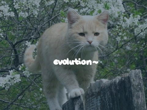 art evolution