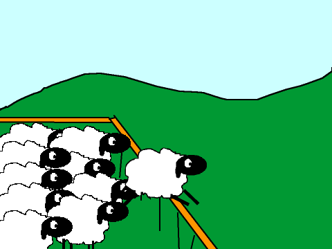Counting sheep