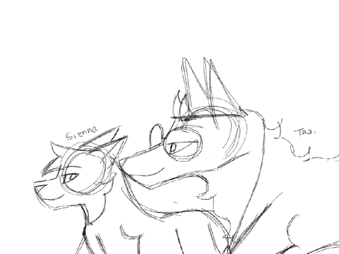 Collab sketch