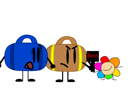 Suitcase bans Flower Head but I voice Journal