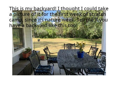 project for scratch camp week 1 -  nature week!