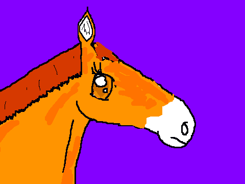My entry horse coloring contest!!-1