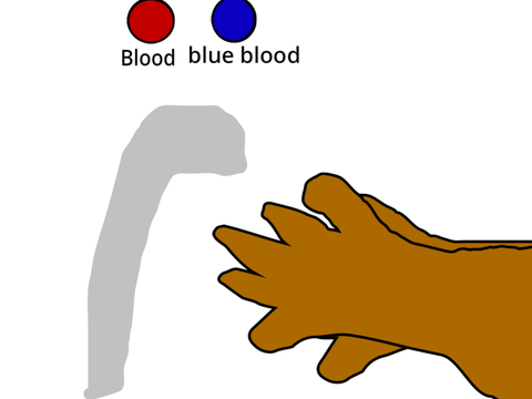 Washing hands with blood is important!