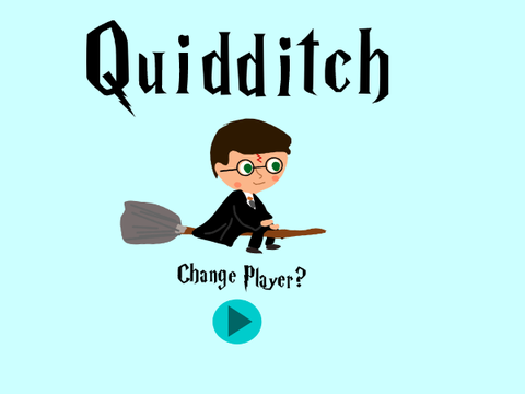 --Quidditch--