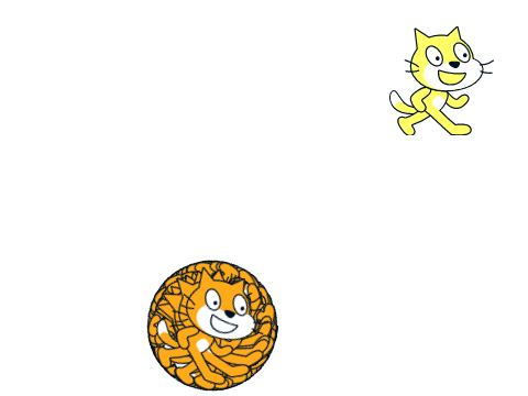Find the Golden cat