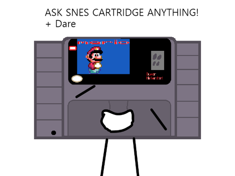 Ask SNES Cartridge