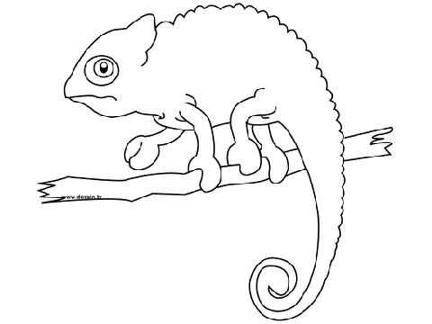coloring contest! CLOSED