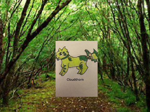 Warrior cat DTA 