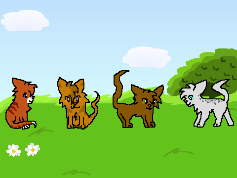 warrior cats generator