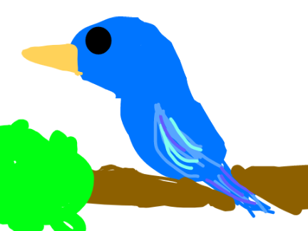 Birds ( Nature Week ) Scratch Camp