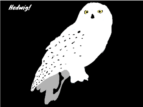  My Drawing Of Hedwig!