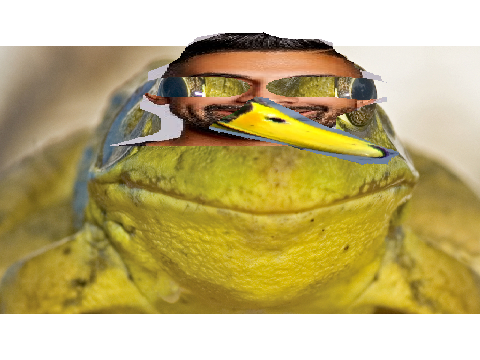 Dhar Mannduck
