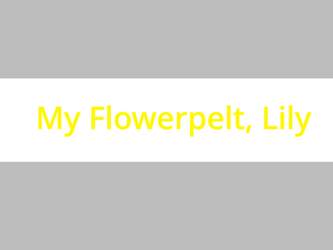 Flowerpelt MYOE! ❀Lily❀