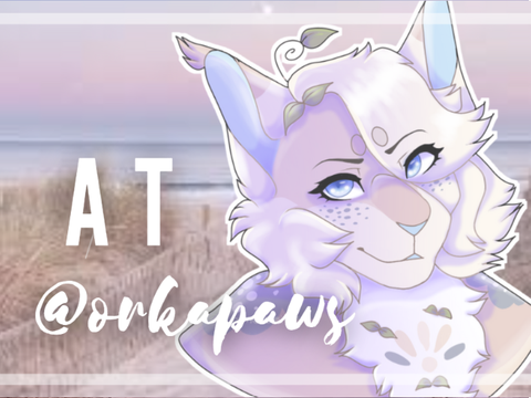 AT ☆ @orkapaws