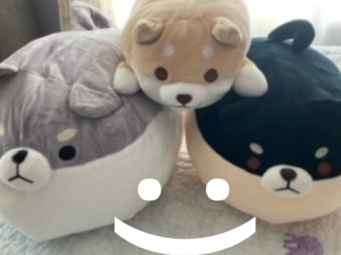 mY pReSeNtS