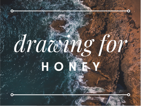drawing for honey